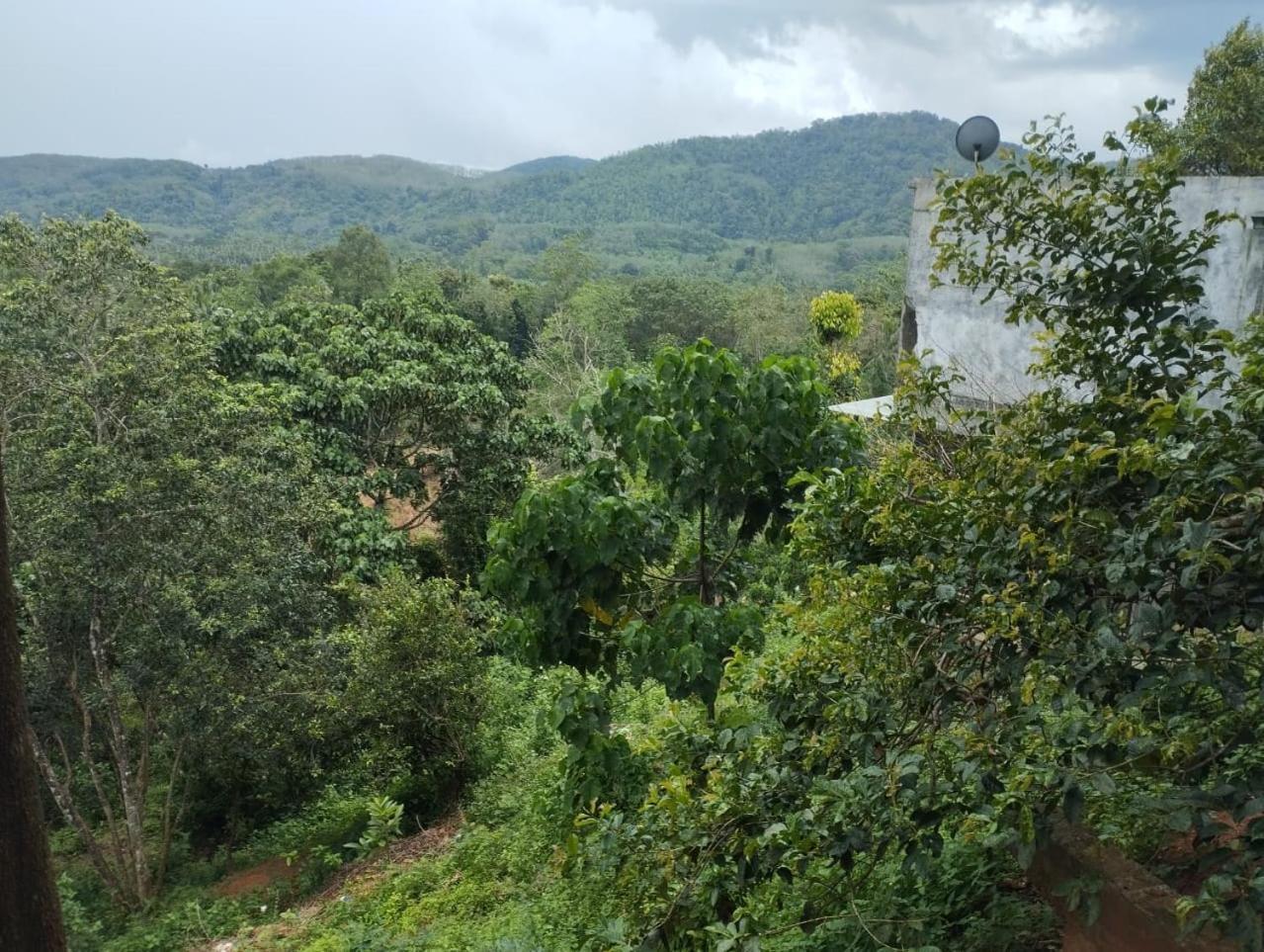 Bogala Village Eco Resort Kegalle Eksteriør billede